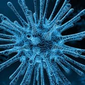 The microbiome is the collection of all microbes, such as bacteria, fungi, viruses, and their genes, that naturally live on our bodies and inside us. Although microbes are so small that they require a