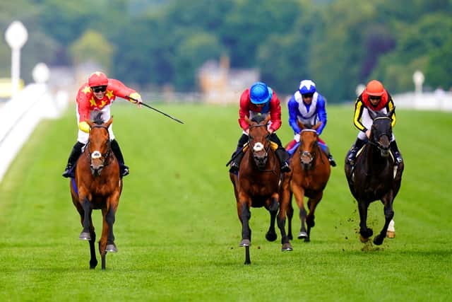 Henry Field, co-owner and managing director of Newgate Stud, told Racing.com: “Joseph O’Brien, who many consider the child prodigy – the best young trainer on the planet – he loves Australia. Australia’s his special place.