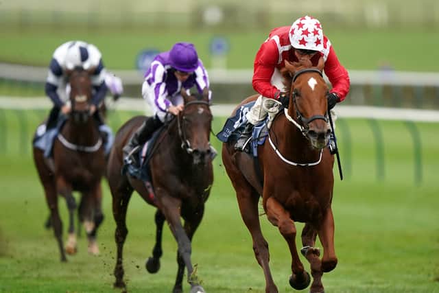 “He has got to run and take his chance. I would hope for the same going as the Craven meeting (good ground) and they don’t over-water.”