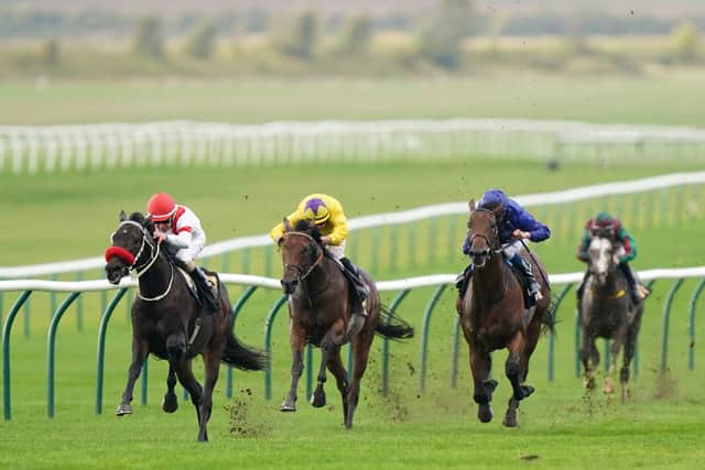 “If we are trying to do everything right by the punter, it is not fair on those people who might have had a bet on my horse because of the jockey booking.”