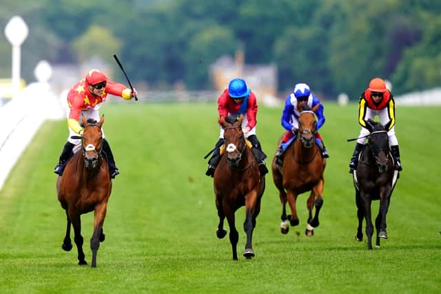 Only a handful of rivals joined State Of Rest in the race, but the colt was mildly overlooked as a 5-1 chance with Sir Michael Stoute’s Bay Bridge and John and Thady Gosden’s Lord North both more favoured.