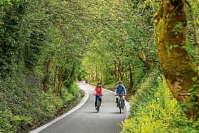 Rachael Conway and Padraig Fogarty at Tullig Wood on the Limerick Greenway, which opened to the public earlier this month | PICTURE: Sean Curtin
