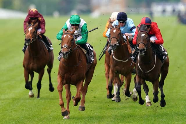 “He’s been in very good form, he’s run two very nice races so far and we’re hoping he can step up,” Johnson Houghton said.