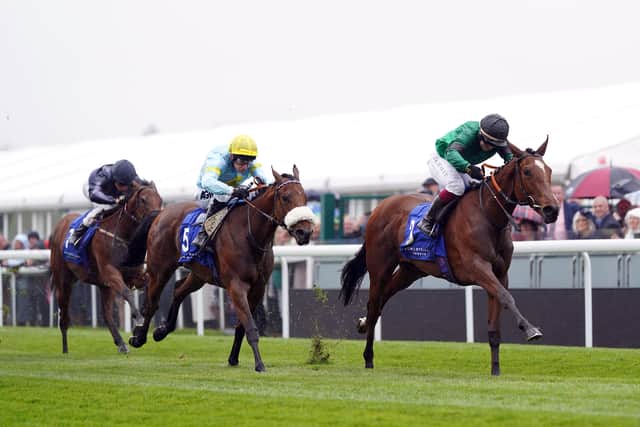 “She has to handle the track, she’s been on Southwell and Chester, two very flat tracks. It requires a little bit more of them, Beverley, with the undulations.