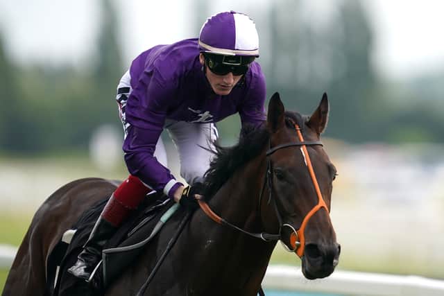 Having raced six times at three and finished his campaign with a disappointing showing in the Prix de l’Arc de Triomphe, Mojo Star has been given plenty of time to get over last year’s exertions, but is now nearing his return to the track.