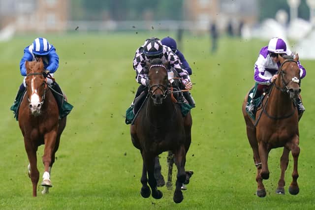 “He had been down the field that day off a quick pace, so he can do it both ways but in these sprint races you can’t be giving away vital ground at the start and hopefully you will see a different horse when he turns up in the Commonwealth Cup because that is very much still the plan with him.