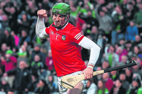 Limerick goalkeeper Nickie Quaid celebrates at the final whistle of the Munster senior hurling championship fixture with Waterford at TUS Gaelic Grounds on Saturday night last