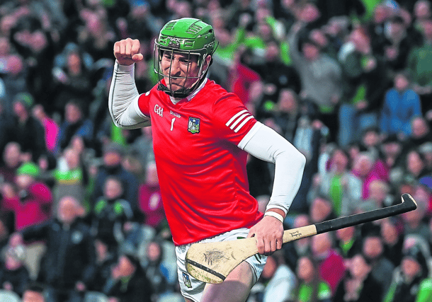 Limerick goalkeeper Nickie Quaid celebrates at the final whistle of the Munster senior hurling championship fixture with Waterford at TUS Gaelic Grounds on Saturday night last