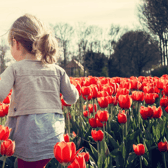 The beginning of spring is a great time to recharge our body and spirit Picture: Pixabay