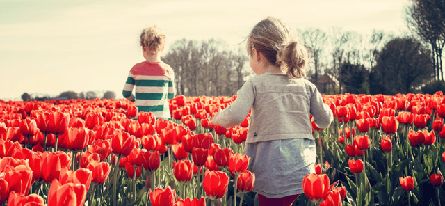 The beginning of spring is a great time to recharge our body and spirit Picture: Pixabay