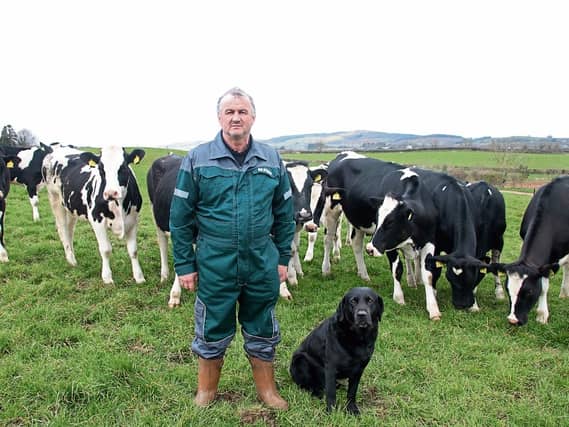 Liam Herlihy will see his farm in Kingsland, Bruree split by the road |Picture: Adrian Butler