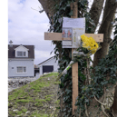 The tribute to the unmarked grave that was allegedly stolen in Coonagh