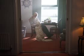 Who will care for your dog if you pass away? New project launched to help
