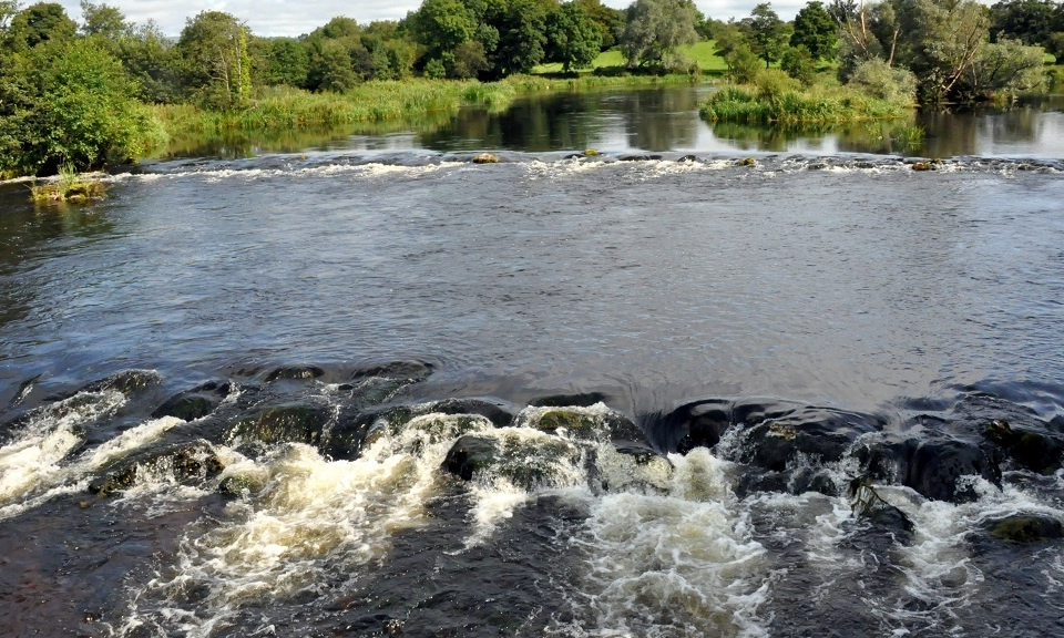 The Shannon in picturesque Castleconnell / Picture:  Ruairí Ó Conchúir