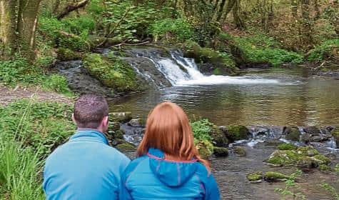 10 things to do in Limerick for Valentine's Day