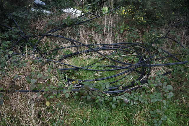 These thefts have to date been primarily occurring in rural locations and when these cables are removed it can take two to three days in some cases to restore phone and internet services to affected households.