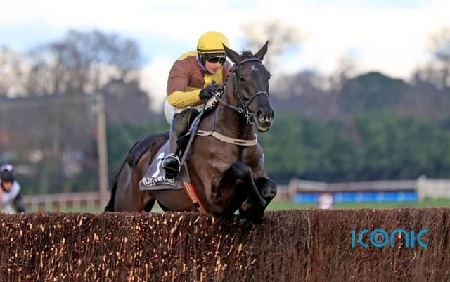 'That was something else' - Willie Mullins blown away by Galopin Des Champs chasing debut