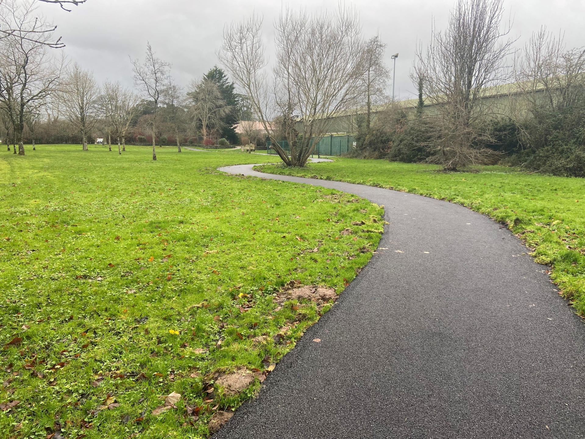 There has been investment towards the upgrade of pedestrian routes within the Demesne Park in Newcastle West, pictured