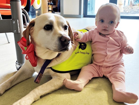 Katie Liston from Newcastle West pictured with Bonnie during the beloved therapy dog’s final rounds at the Children’s Ark paediatric unit in University Hospital Limerick