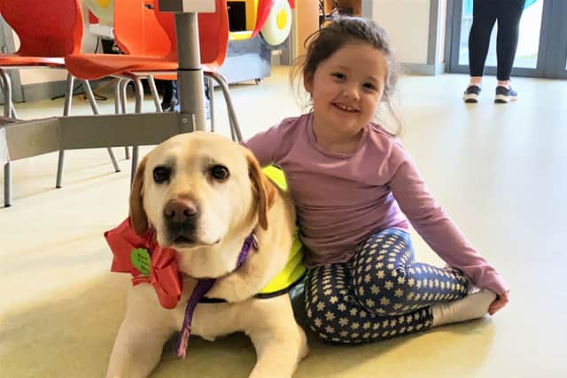 Happily Bonnie's sister Bella will be taking over the role in the new year thanks to their owner Emma who formed the Irish Therapy Dogs Visiting Team with her canine pals.