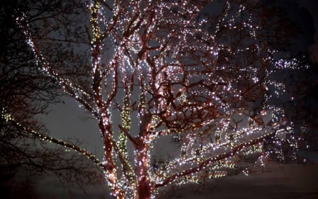 Light up a memory 2021 ceremony at Milford Hospice goes virtual