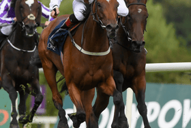 Pearls Galore, orange cap, and Limerick jockey Billy Lee on their way to finishing second in the Matron Stakes at Leopardstown in September