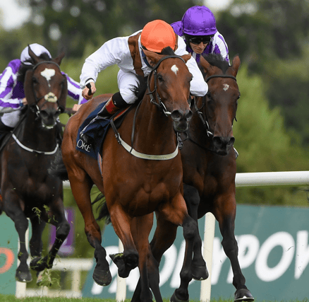 Pearls Galore, orange cap, and Limerick jockey Billy Lee on their way to finishing second in the Matron Stakes at Leopardstown in September