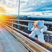 It is hoped the teddy bear will provide comfort