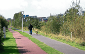 Cllr John Costelloe says he's frustrated by the amount of agencies who claim they maintain the canal