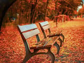 In the northern hemisphere, annual influenza epidemics occur during autumn and winter affecting approximately 5-15% of the population