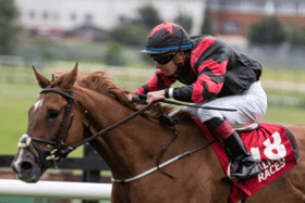 Moyross jockey Wesley Joyce partners Crowns Major to big race success at Galway Picture: Patrick McCann/Racing Post