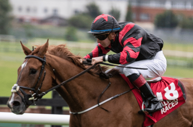 Moyross jockey Wesley Joyce partners Crowns Major to big race success at Galway Picture: Patrick McCann/Racing Post