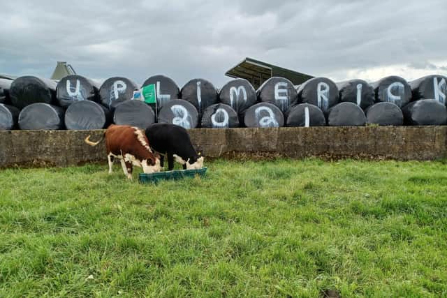 While graffiti artist Banksy uses buildings as his canvas, Brenda prefers silage bales for her expressionism. The lady from Pallasbeg, Cappamore, has been getting rave reviews for her daily creations in support of the Limerick hurlers.