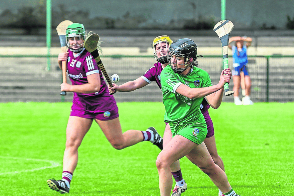 Limerick's Niamh Ryan gets her shot away during Saturday's Littlewoods Ireland National Camogie League Division 1 fixture with Galway in Kilmallock Picture: Kieran Ryan-Benson