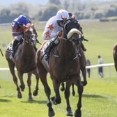 Star Harbour and Shanagolden jockey Chris Hayes race clear to win the Royal County Handicap for Ado McGuinness at Navan on Sunday Picture: Caroline Norris/Racing Post