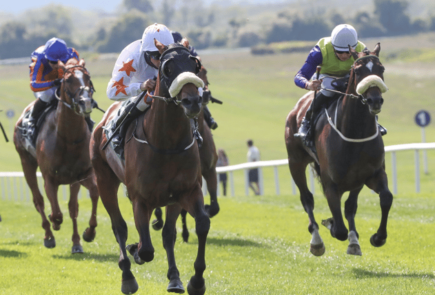 Star Harbour and Shanagolden jockey Chris Hayes race clear to win the Royal County Handicap for Ado McGuinness at Navan on Sunday Picture: Caroline Norris/Racing Post