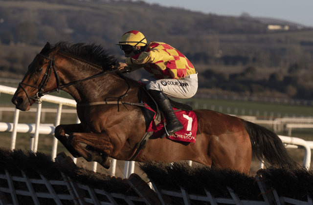 Hilltop Supreme and Kevin Brouder were winners for Askeaton trainer Davy Fitzgerald at Punchestown on Monday last Picture: Patrick McCann/Racing Post