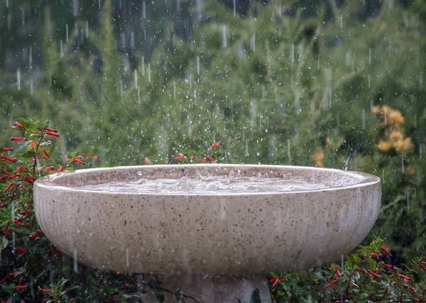 A Status Yellow rainfall warning has been issued