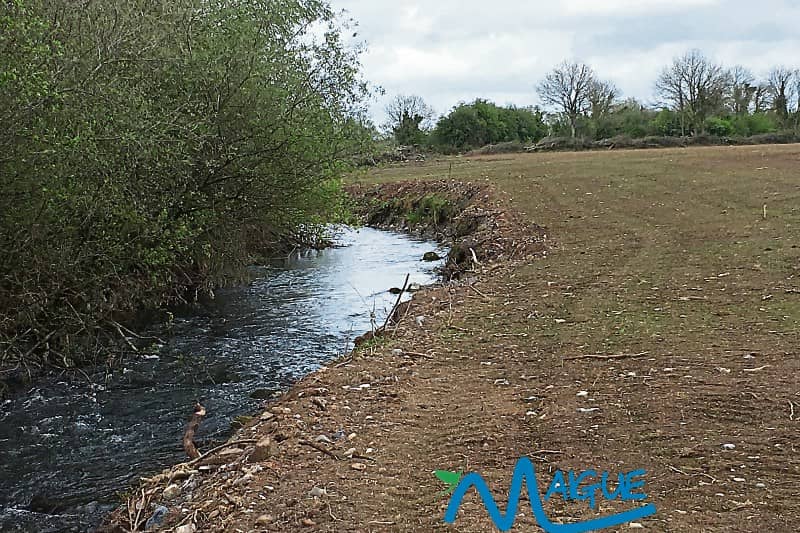 With no trees a river bank erodes 