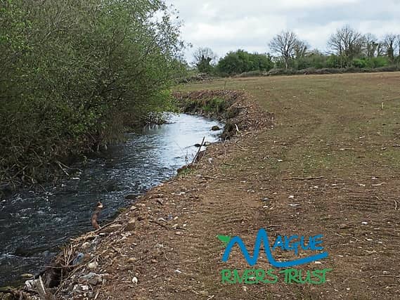With no trees a river bank erodes