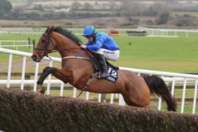 Owl Creek Bridge wins for Rathkeale trainer Eric and his son Conor McNamara at Punchestown on Sunday Picture: Caroline Norris/Racing Post