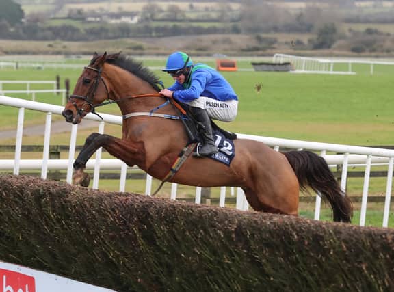 Owl Creek Bridge wins for Rathkeale trainer Eric and his son Conor McNamara at Punchestown on Sunday Picture: Caroline Norris/Racing Post