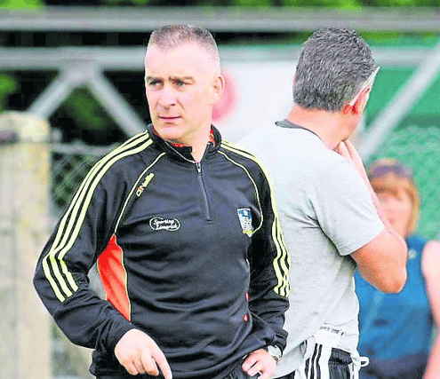New Limerick camogie manager Pat Ryan