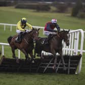 Jukebox Jive (right) leads King Alex over the final flight as he wins for Rathkeale jockey Conor McNamara at Navan on Friday Picture: Patrick McCann/Racing Post