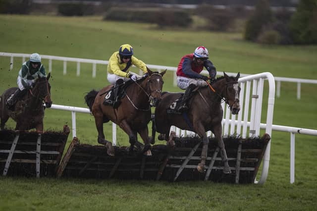 Jukebox Jive (right) leads King Alex over the final flight as he wins for Rathkeale jockey Conor McNamara at Navan on Friday Picture: Patrick McCann/Racing Post