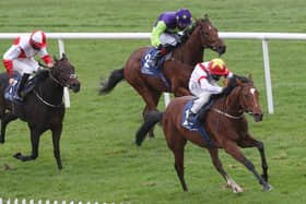The John Oxx-trained Storm Legend and Limerick jockey Chris Hayes run out convincing winners at Naas on Sunday  Picture: Caroline Norris/Racing Post