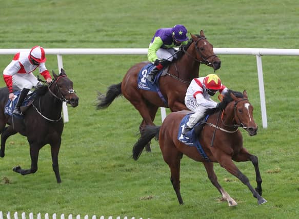 The John Oxx-trained Storm Legend and Limerick jockey Chris Hayes run out convincing winners at Naas on Sunday Picture: Caroline Norris/Racing Post