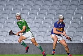 Pat Ryan in action for Limerick against Tipperary