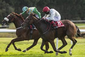Pita Pinta, near-side, gets up under Shanagolden jockey Chris Hayes to win at Gowran Park on Wednesday last for trainer Fozzy Stack. Picture: Patrick McCann/Racing Post