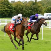 Dylan Browne McMonagle wins on the Austin Leahy-trained Principalship at Cork Photo: Alain Barr/Racing Post